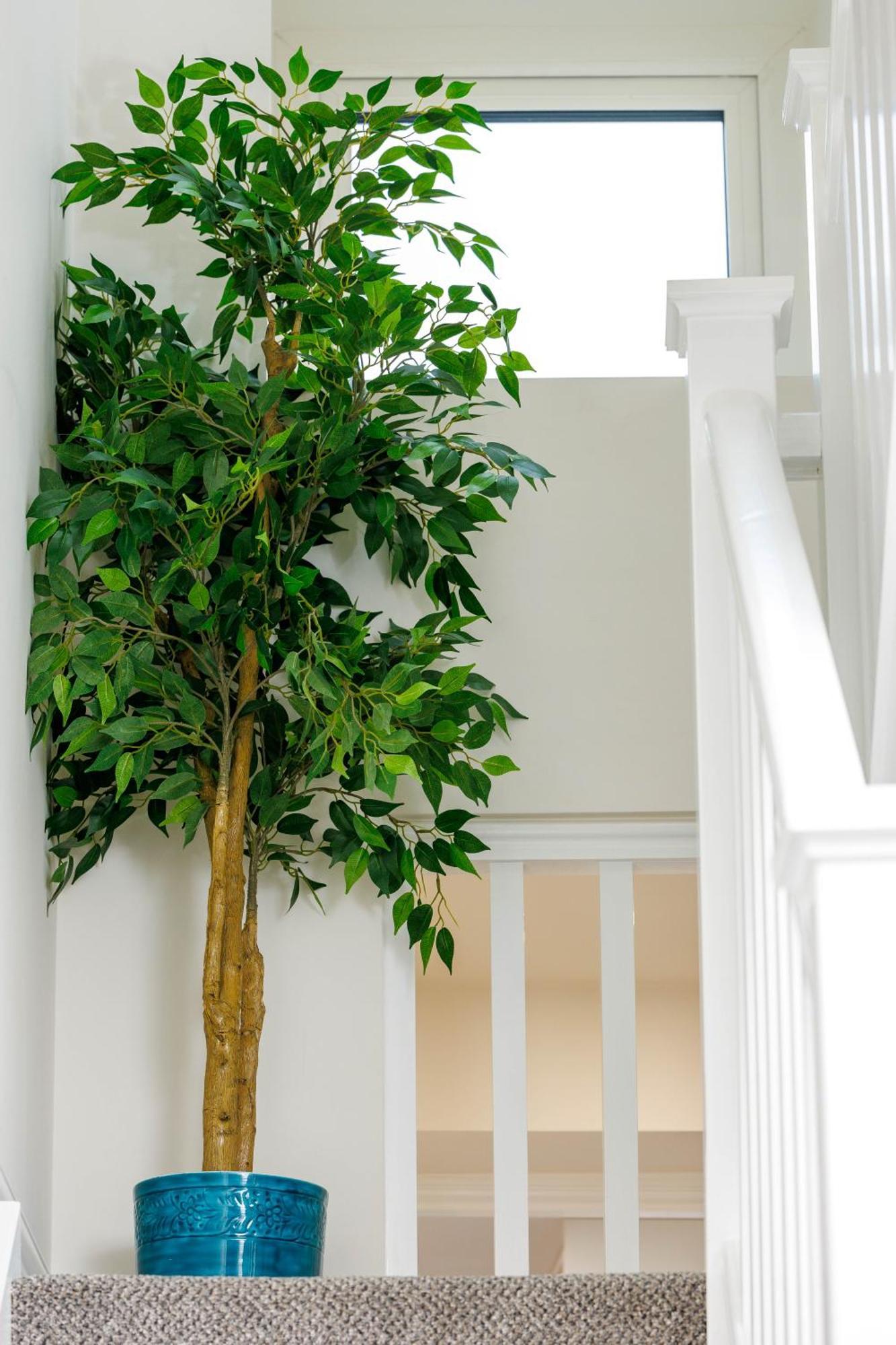 Sandbury Town House Kilkenny Exterior foto
